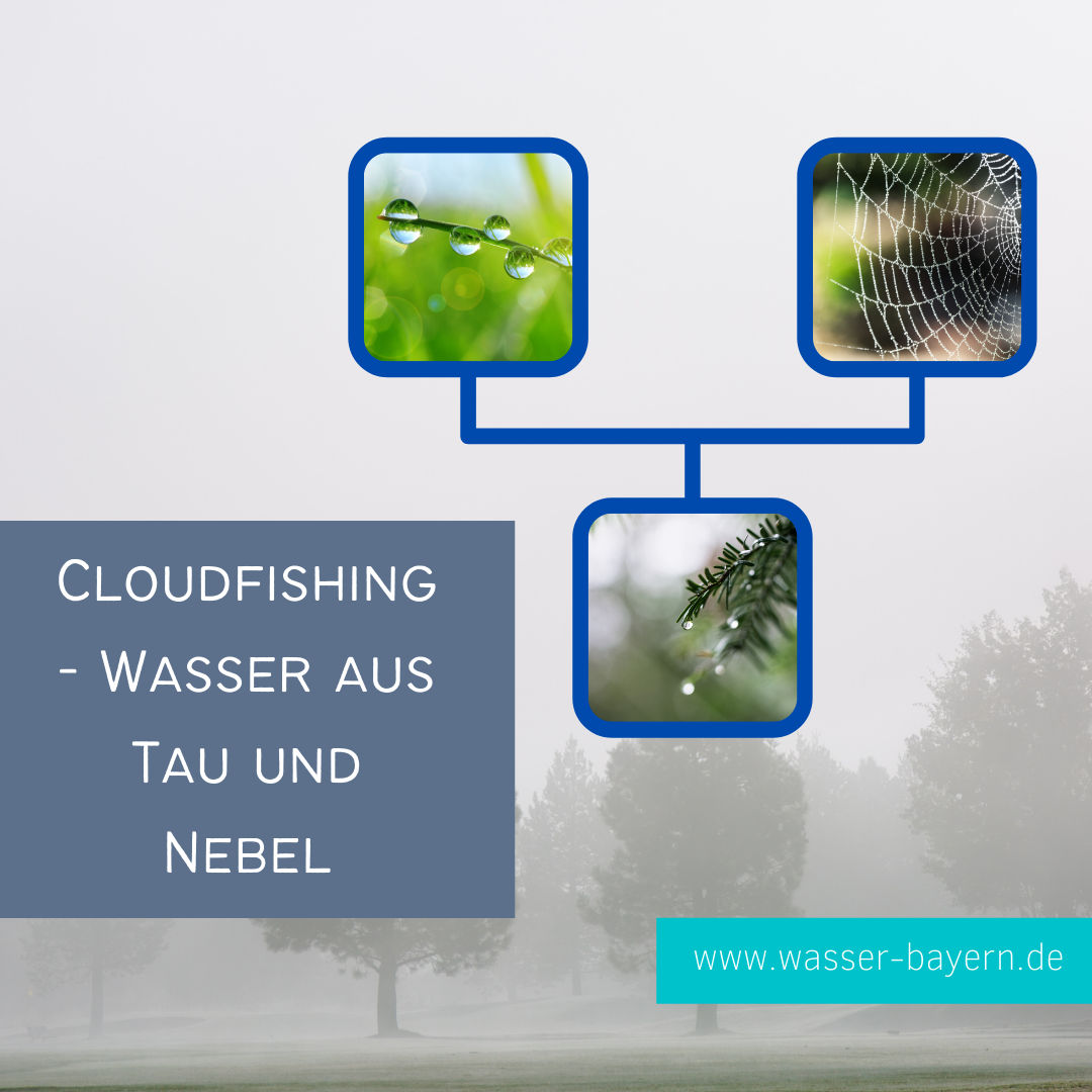 Read more about the article Cloudfishing – Wasser aus Tau und Nebel