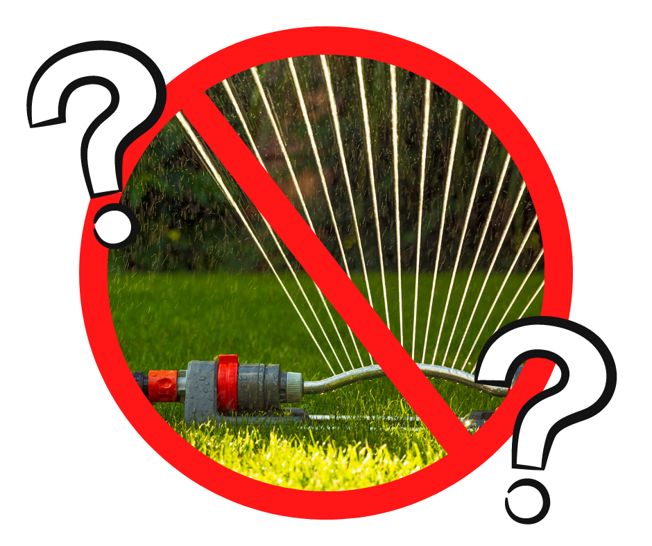 Read more about the article Kommt ein Bewässerungsverbot mit Trinkwasser?