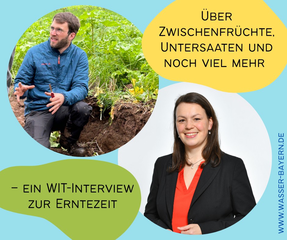 Mehr über den Artikel erfahren Über Zwischenfrüchte, Untersaaten und noch viel mehr –ein WIT-Interview zur Erntezeit